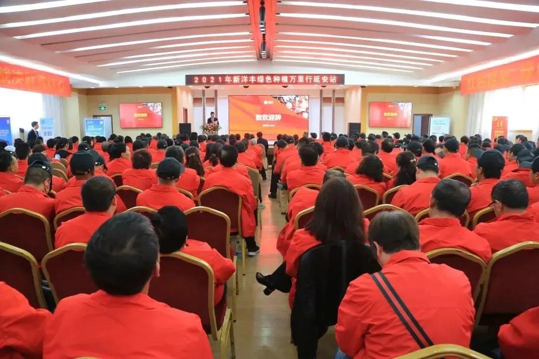 新洋丰肥料农业科技股份有限公司,新洋丰化肥销售直播