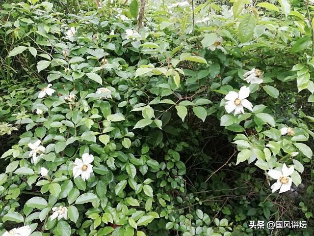 健康长寿大密诀,健康长寿秘诀