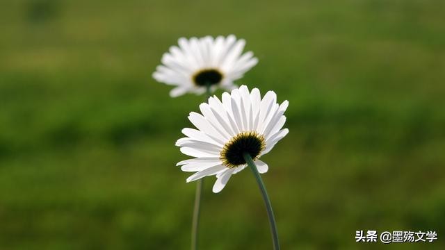 爱了谁伤了谁,受过的伤还能爱谁