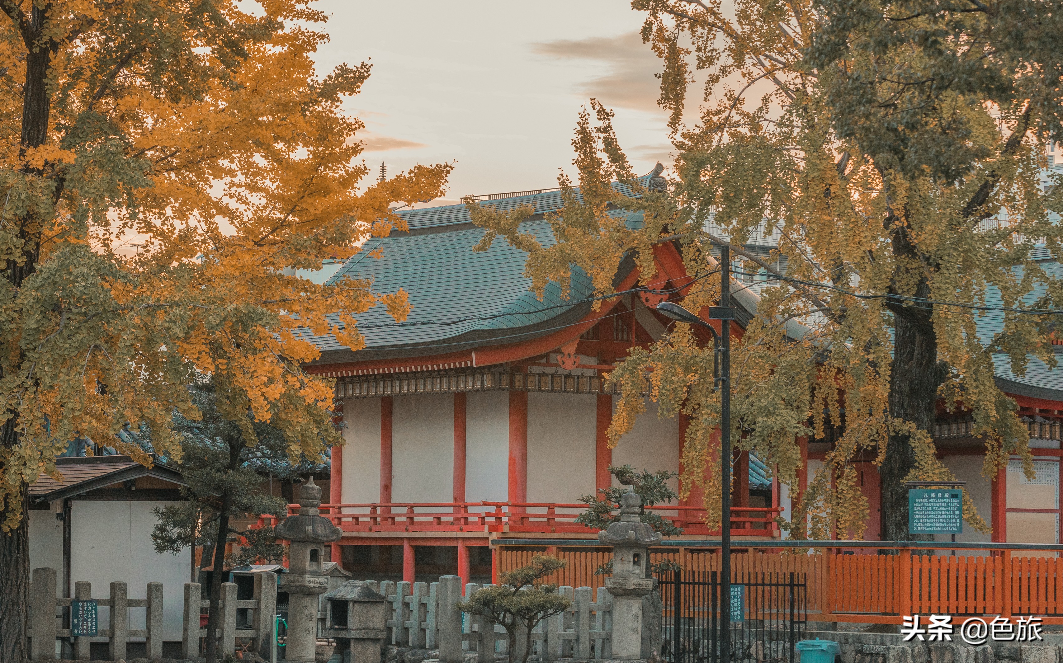 妖猫传日本访唐,妖猫传日本大师