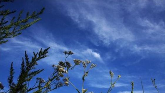 鎬诲湪涓嶇粡鎰忛棿璧犱綘鏇茬粓浜烘暎,宀佹湀鎬诲湪涓嶇粡鎰忛棿閫佷綘鏇茬粓浜烘暎