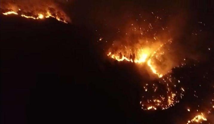 西昌19名牺牲救火队员遗体送至殡仪馆，24岁幸存者80%烧伤快当爸爸，专家分析夜晚风向突变被林火包围