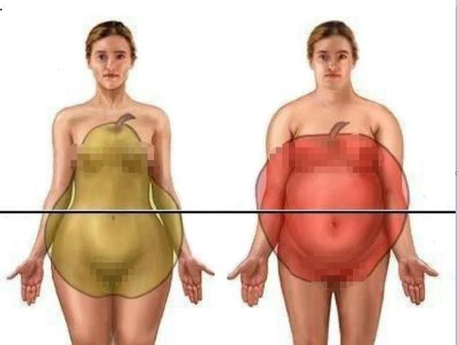 体检脂肪过量怎么说,体检内脏脂肪