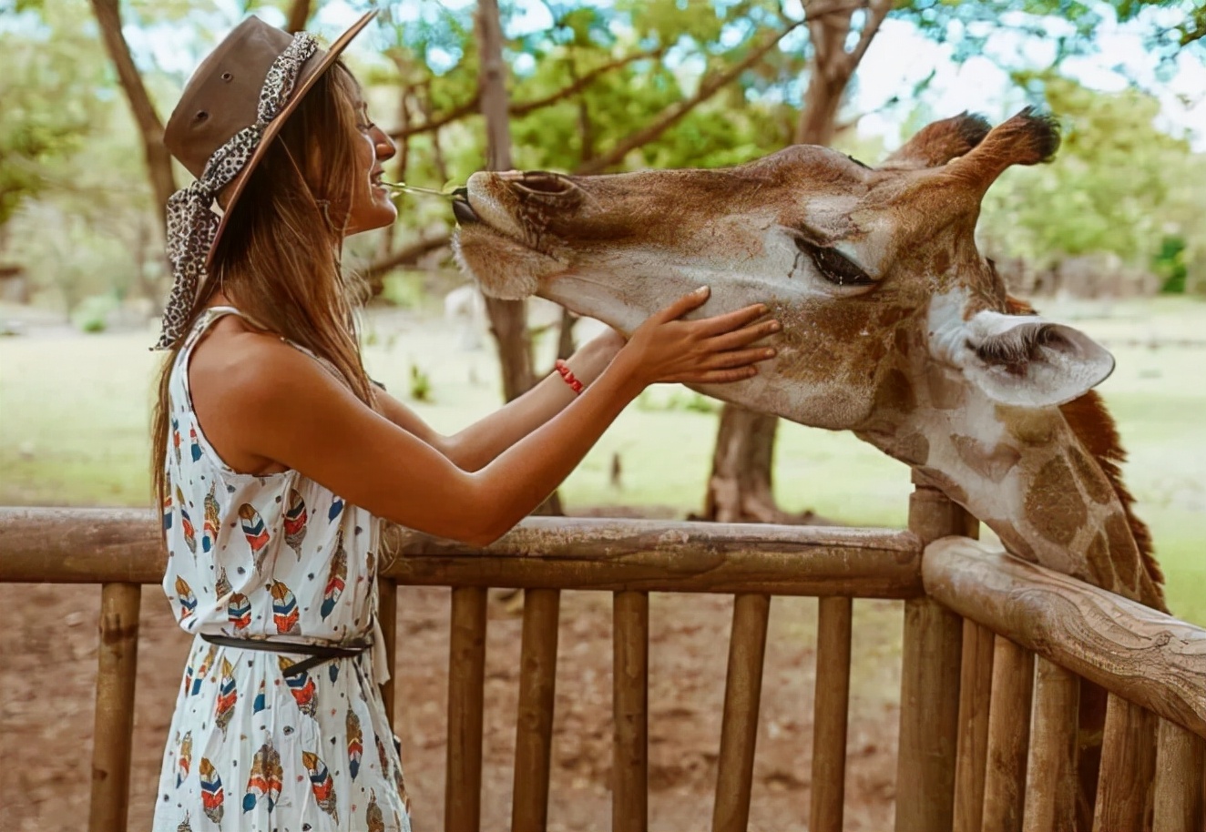 非洲毛里求斯在哪里,非洲岛国毛里求斯概况