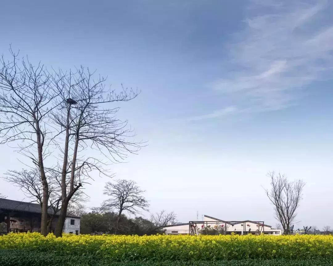 邹迎晞:“田园+乐园+家园”是田园综合体全产业链设计的实践之路