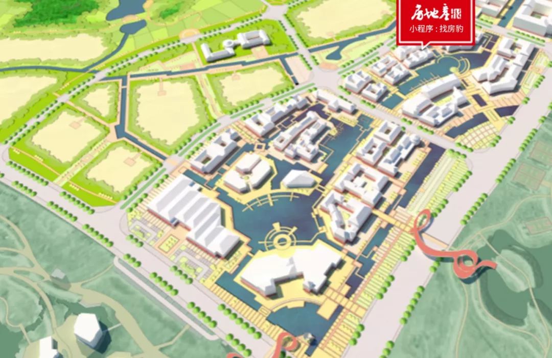 桃李宋卫平,宋卫平的桃李春风