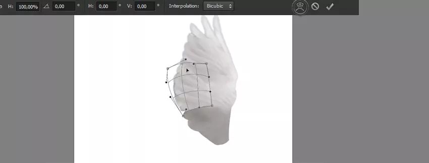 ps花仙子合成教程,ps合成狗狗教程