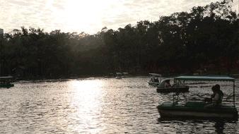 深圳周末浪漫好去处,深圳浪漫约会地点十个景点