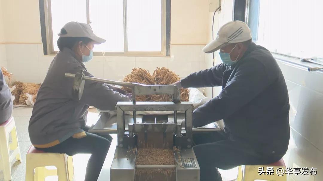 平凉青松中药饮片,华亭市青松中药饮片公司