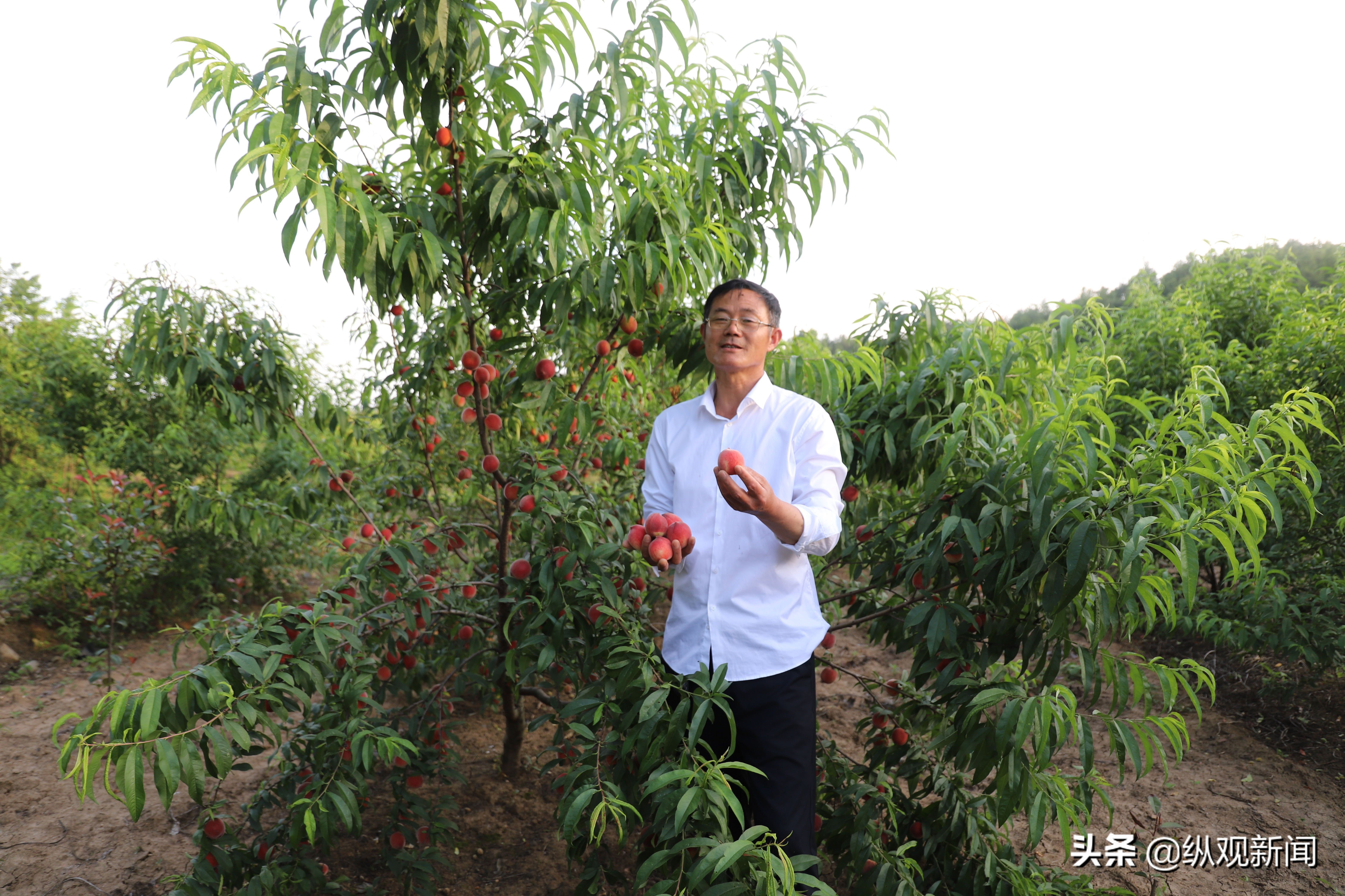 耕耘在希望的田野上组图,耕耘在希望的田野