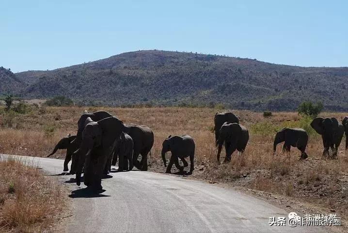 收藏系列：去非洲你应该知道的事，一文教你成为本地人