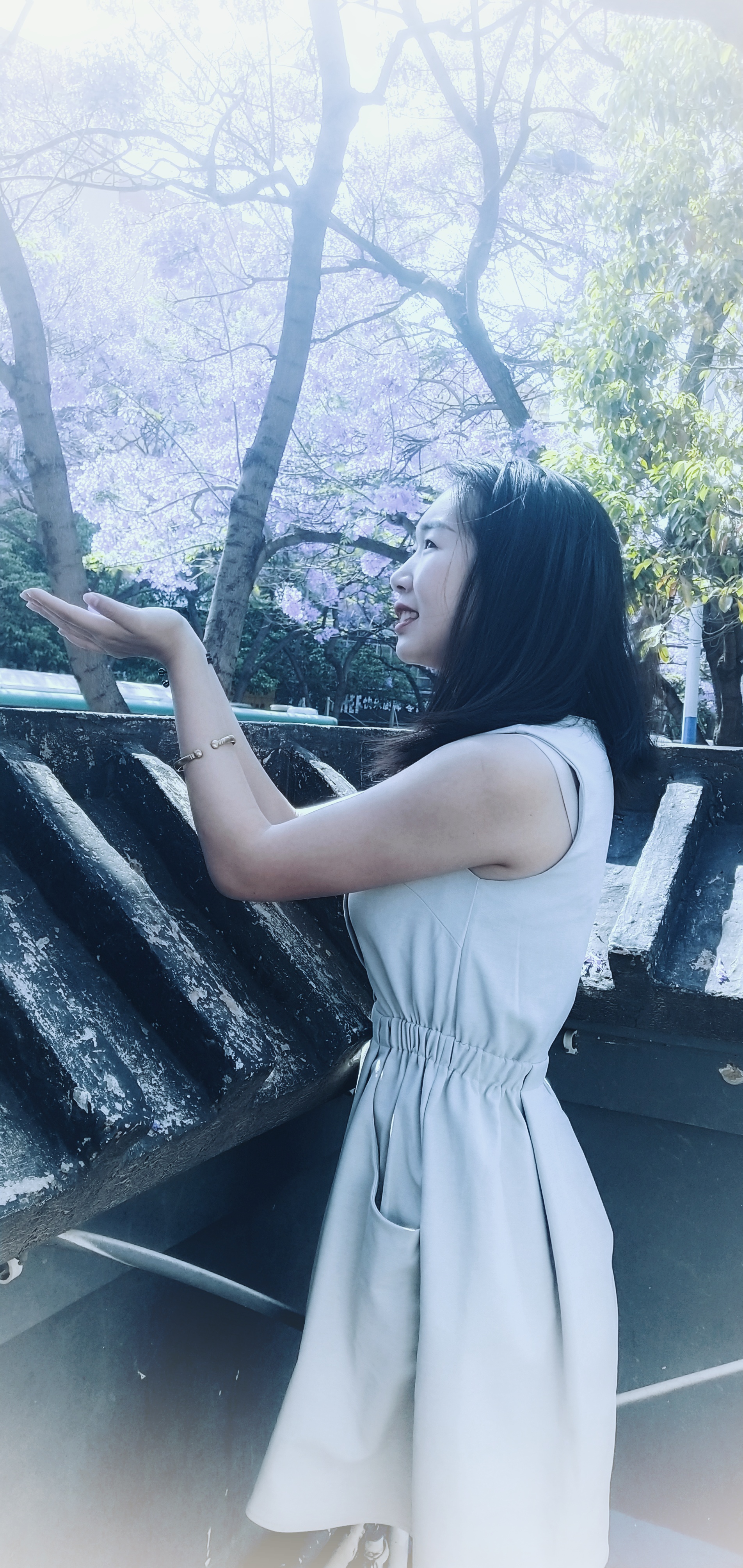 日慕蓝花楹，夜宿花香里