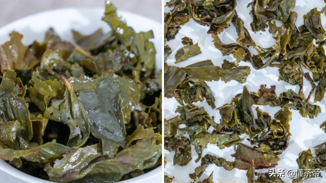 日春对比八马谁的铁观音更好,八马清香型铁观音测评