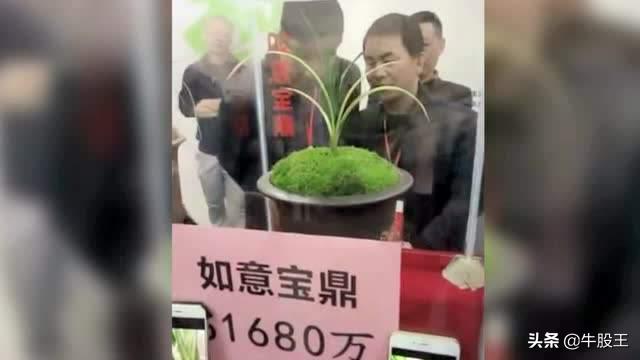 1999的鞋子卖3万 (1999元的鞋子)