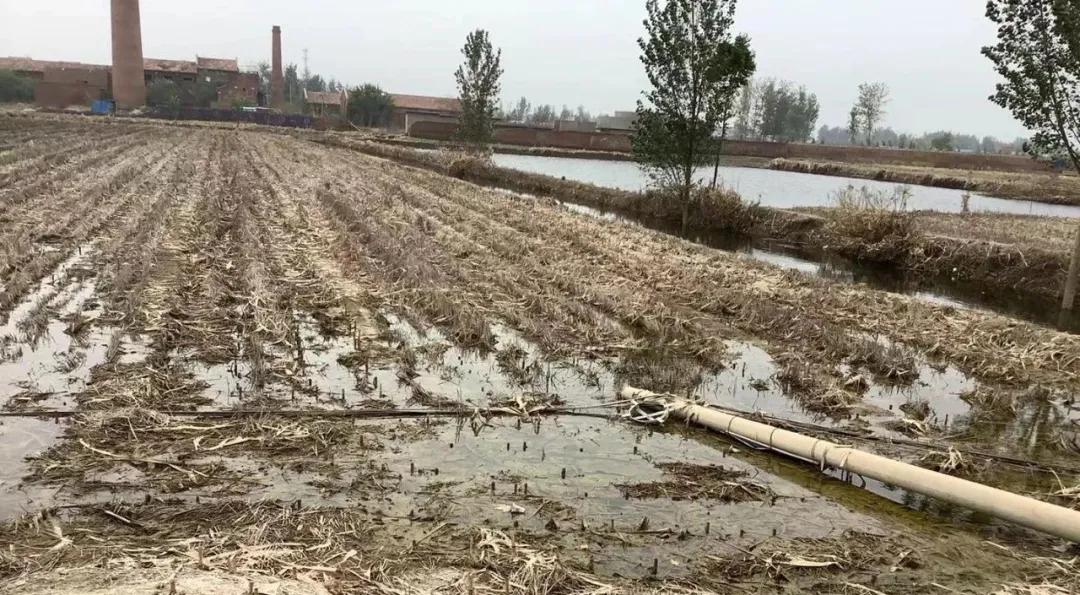 京豫一道同担风雨北财教育大爱无疆