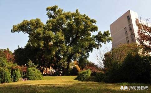 经验分享浙江第一名,浙江省诸暨中学怎样