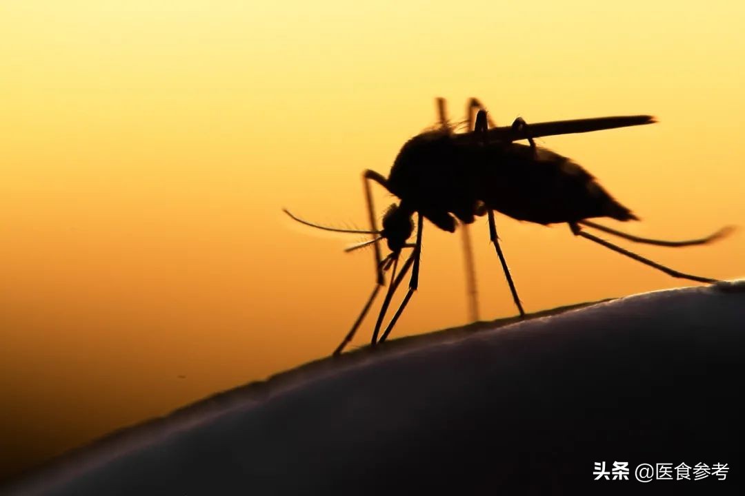 毒蚊子咬了肿起来怎么办,蚊子咬了一口怎么办