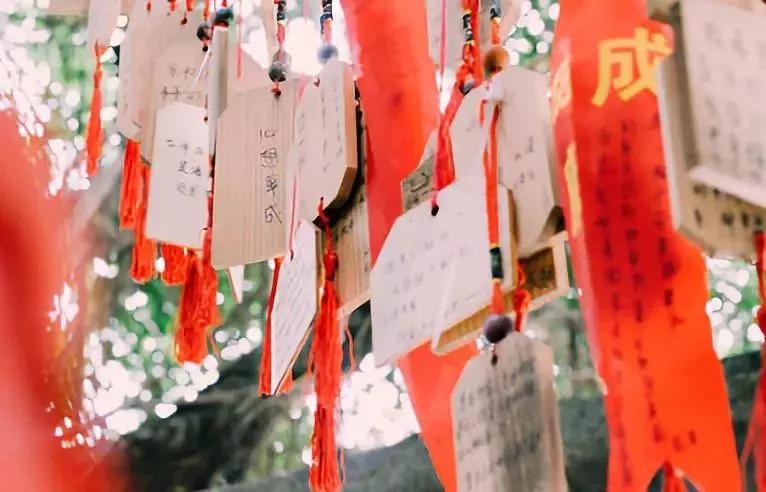 免费梦幻灯光节,梦幻灯光节免费门票