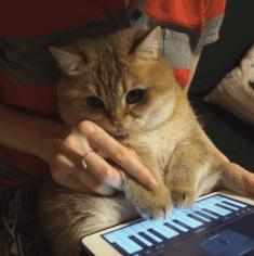 「JALOUSE」有一说一,我确实馋他们的身子