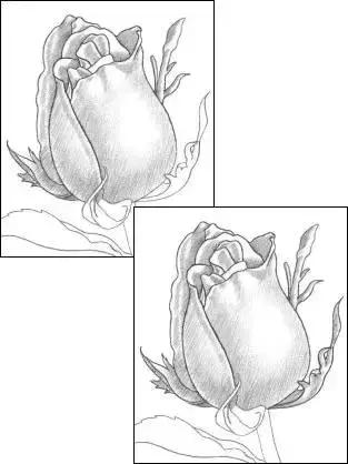 鐜懓绱犳弿鏁欑▼,绱犳弿鐜懓鐢绘硶鏁欑▼