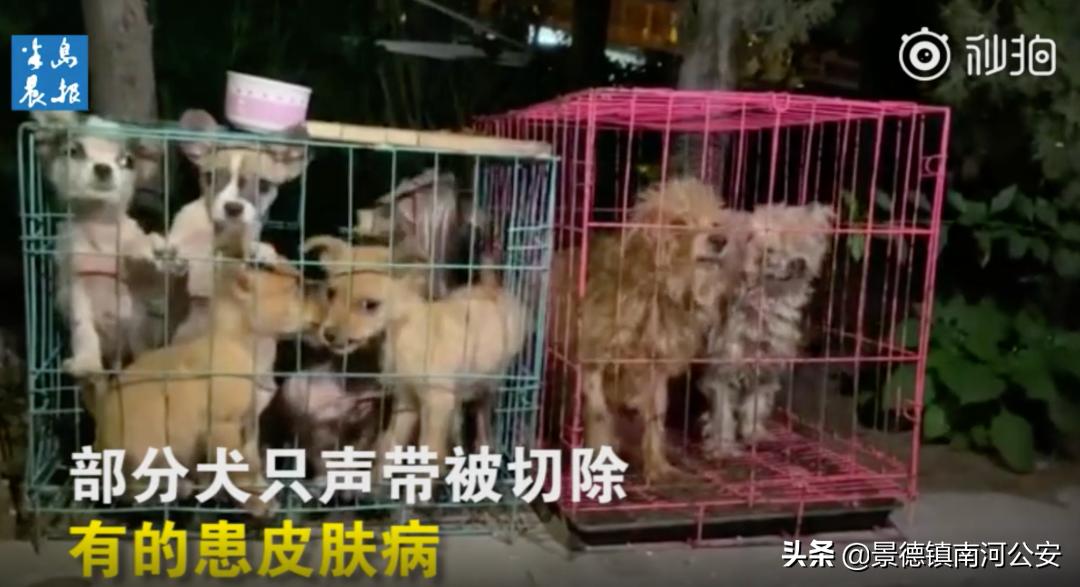 “割声带、截肢、电击,当爱变成我的噩梦”