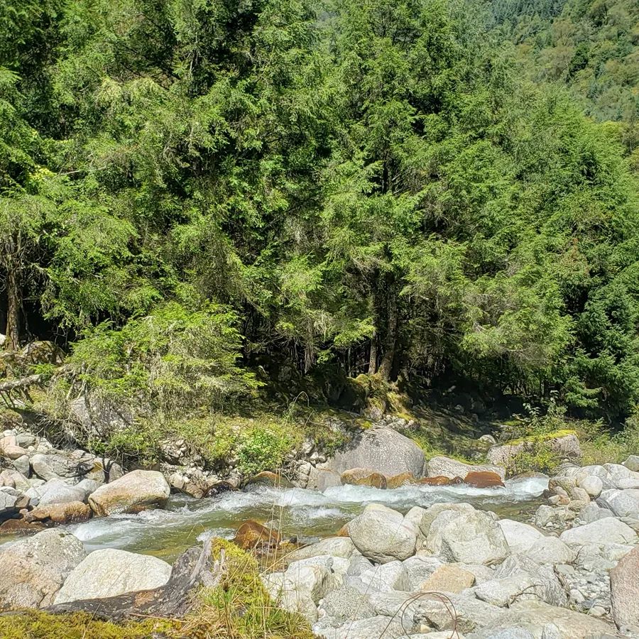 国庆成都周边旅游攻略推荐,成都周边旅游国庆2-3天推荐地方