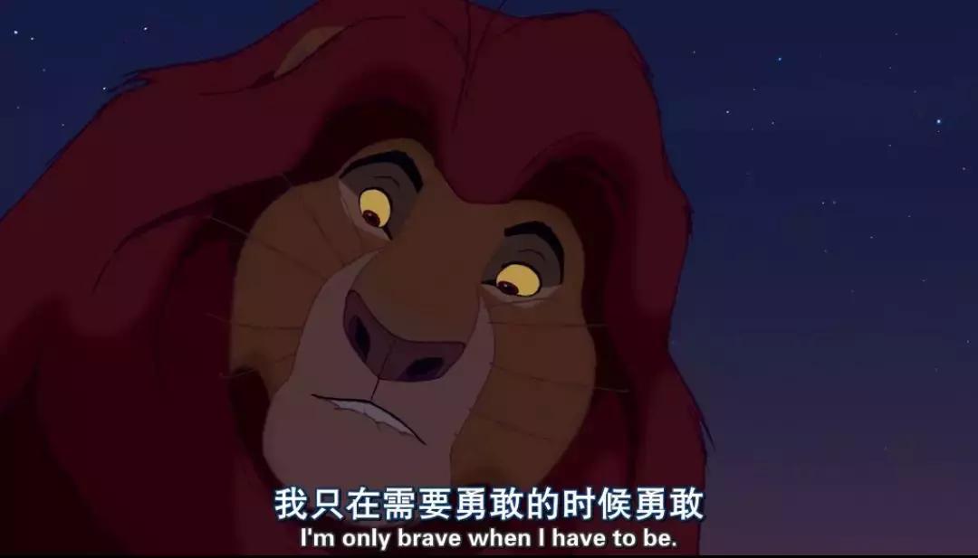 真实版的狮子王,现实版狮子王比想象的更残酷