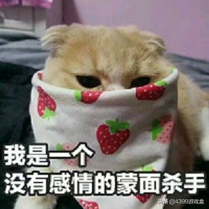 狙击行动代号猎鹰进化史,狙击行动代号猎鹰迅捷如鲨