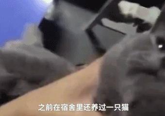 双11购物气死丈夫,双11成交惊呆老外