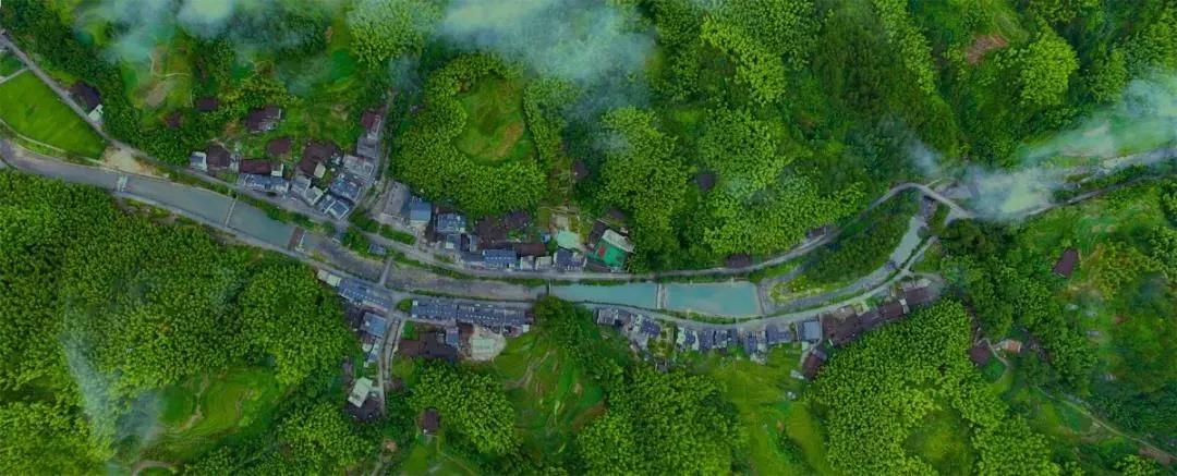 夏天泰顺避暑,泰顺度假胜地