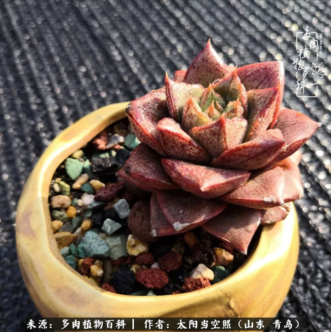 离家在外才发现最难忘的是故乡情,离家在外看见家乡的东西