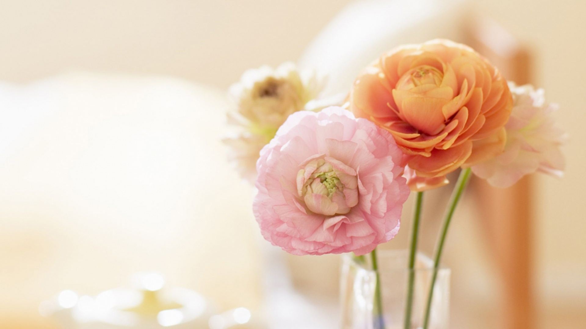 很难追的女人是什么原因,超难追又超多人追的三大星座女