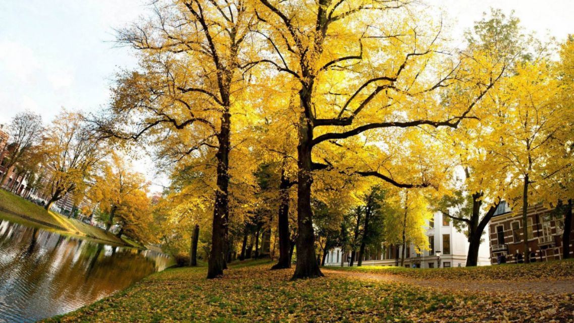 九月中,一见倾心,两情相悦,海枯石烂,相濡以沫,至死不渝