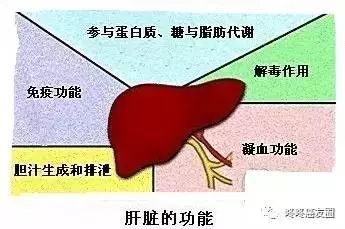 肿瘤全套血检报告怎么看,肿瘤肝功能指标怎么看