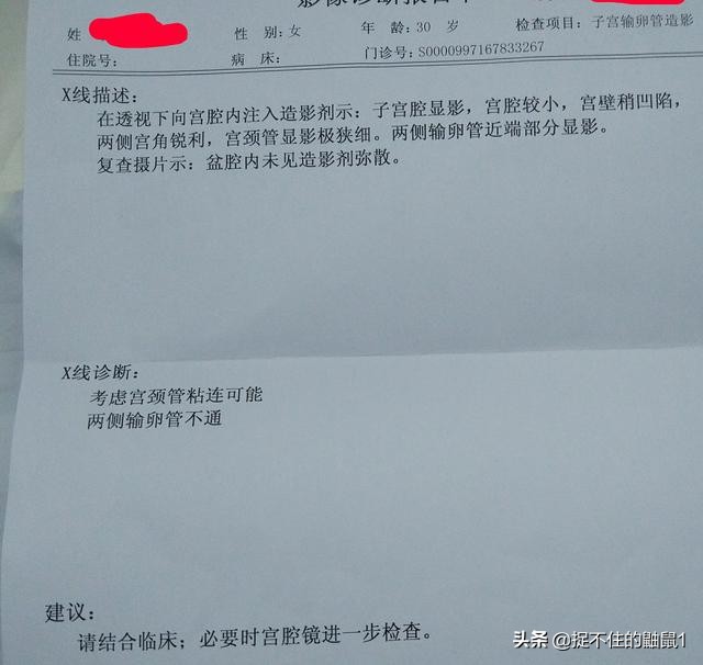 我的试管婴儿之路完整版,备孕十年试管之路