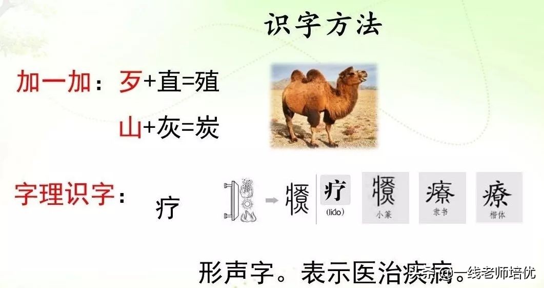 知识点+练习题部编版五年级语文上册16太阳