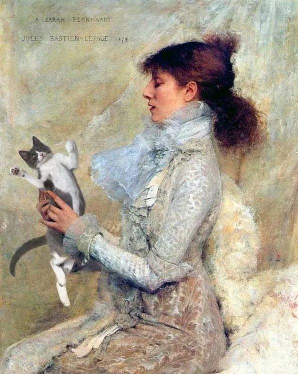 当名画遇上猫咪，是锦上添花还是画风突变？