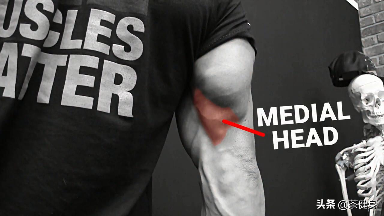 怎么练肱三头肌,手臂怎么练三头肌