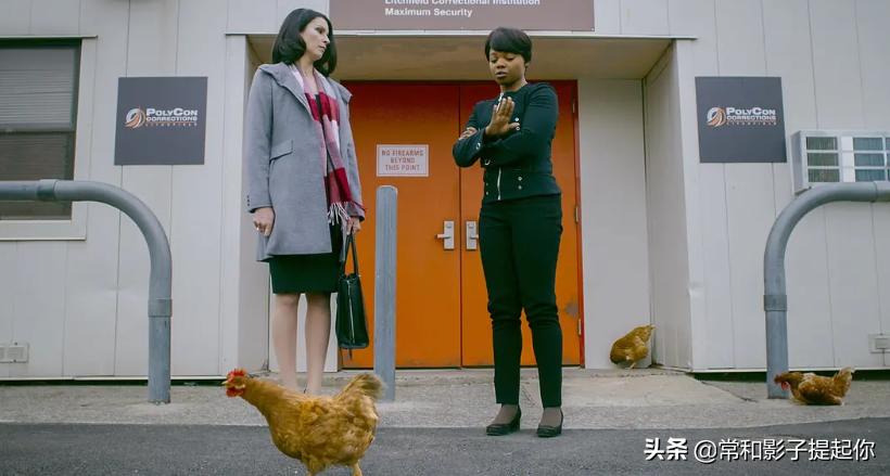 豆瓣评分8.0以上的国产剧推荐,豆瓣评分八点五以上的国产剧