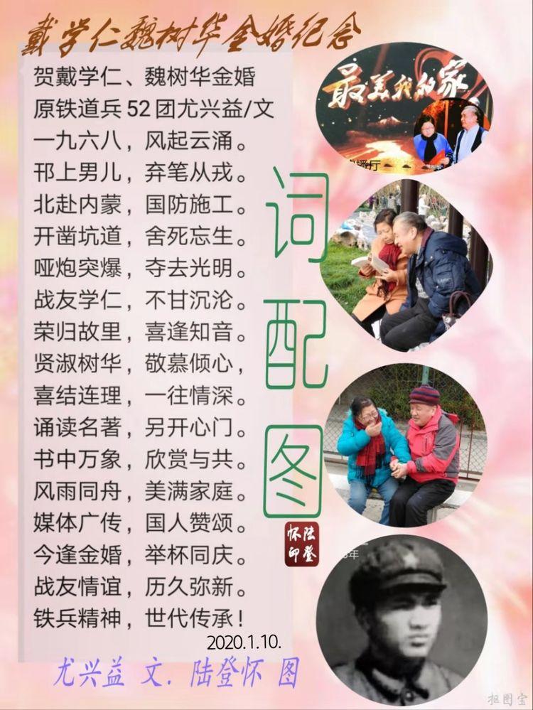 戴学仁魏树华夫妇的幸福故事,白浪情活动