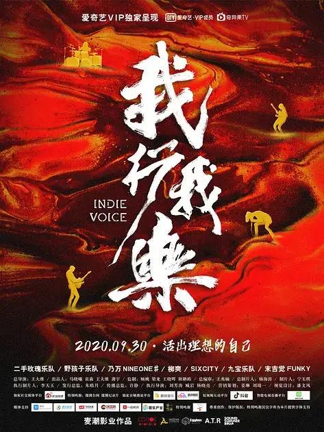 我行我乐纪录片王大维,我行我乐纪录片免费看