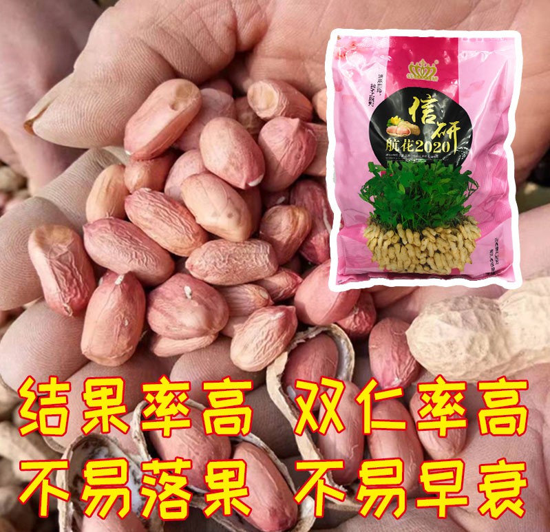 什么花生种最好又高产,种植花生高效率方法有哪些