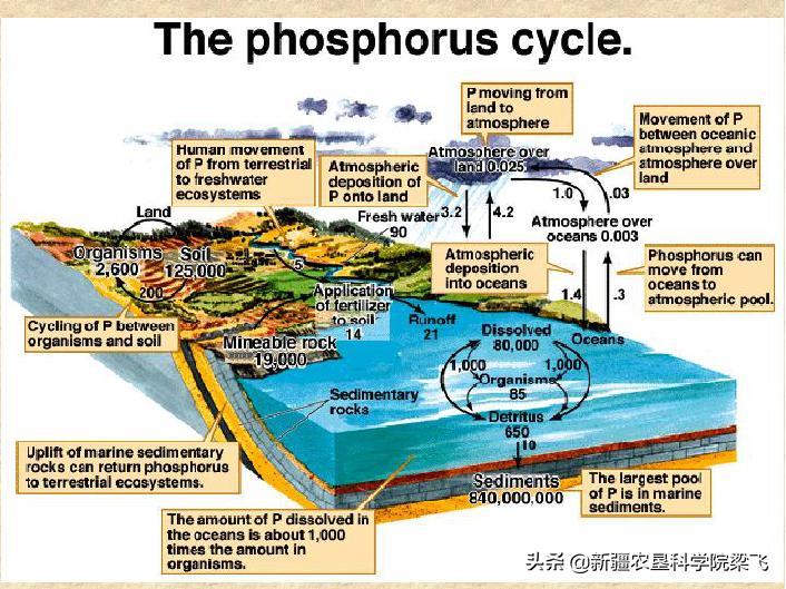 什么能化解土壤里的磷肥,磷肥怎样不板结