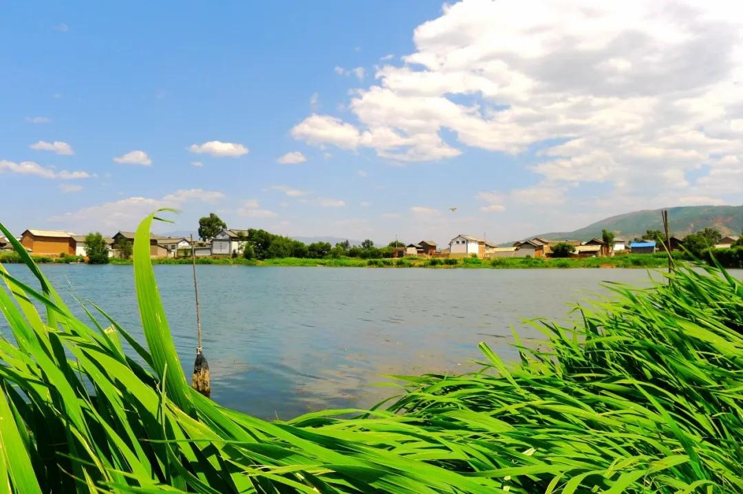 2021年云南最适宜避暑的十县市,云南旅游避暑地点排名榜