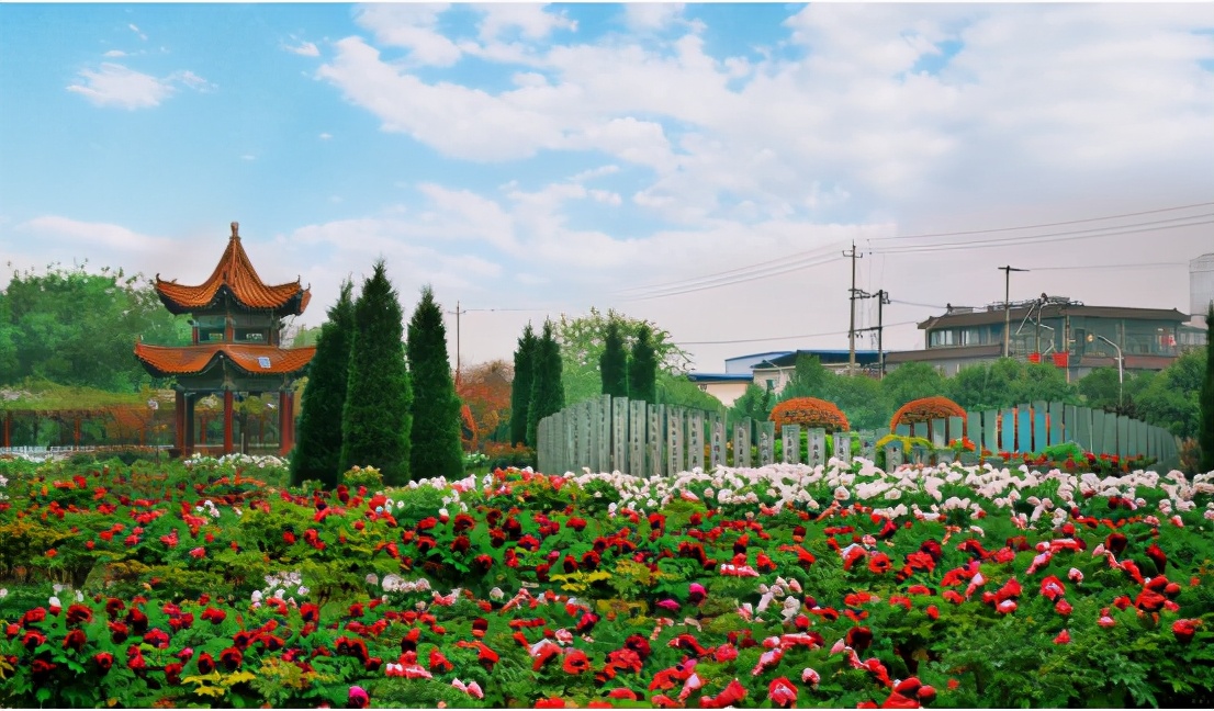 菏泽医专新校区最新进展图文,菏泽医专近况