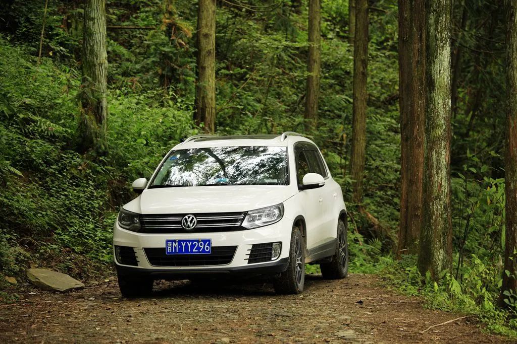 汉中龙池湖攻略,汉中龙池湖简介