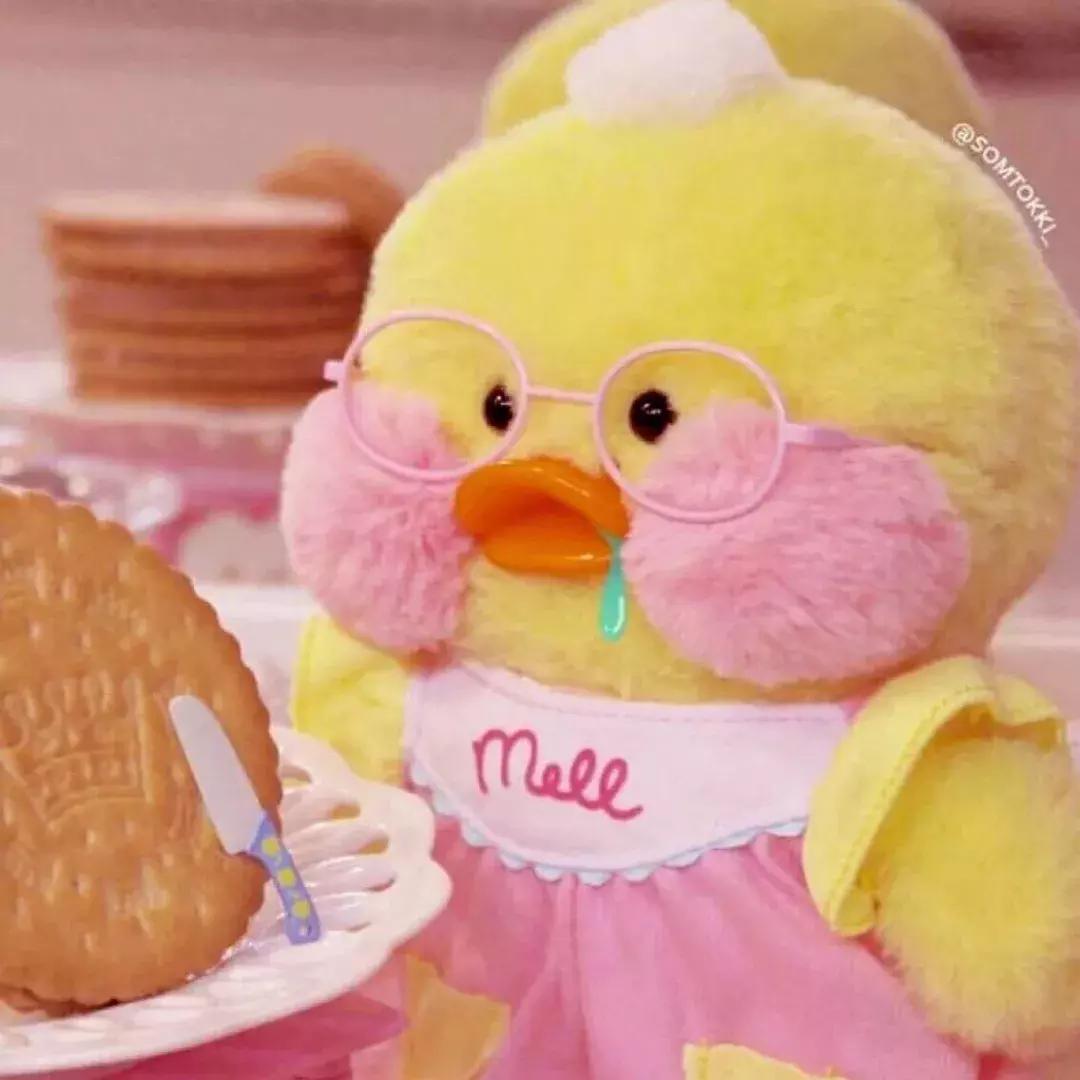 36张网红玻尿酸鸭头像图：遇见就好了，余生就算了