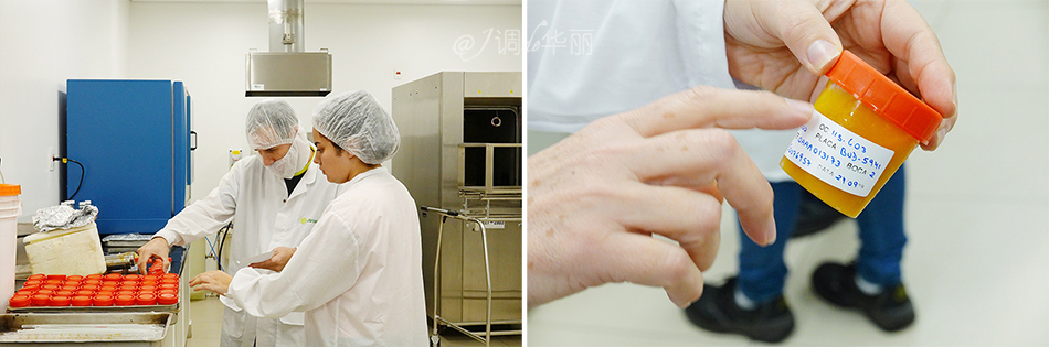 巴西像内马尔的人,巴西像