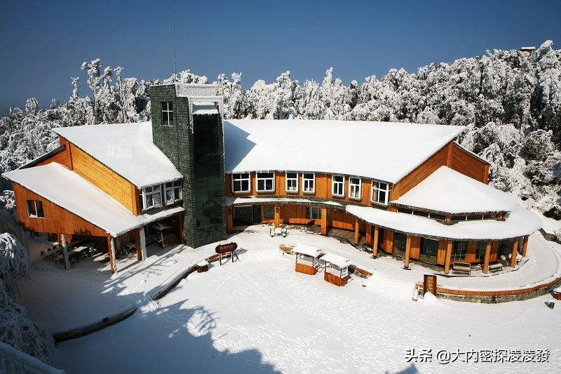 李娜高原天籁之音,李娜第一次唱青藏高原是哪一年