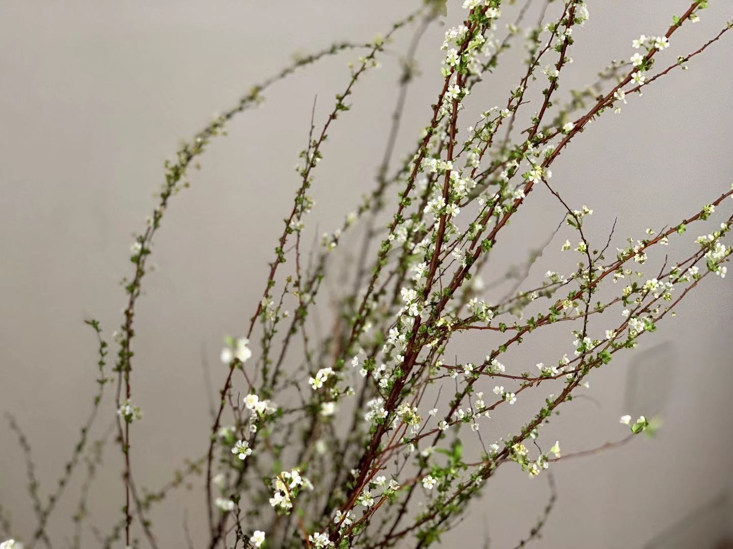 开着福特福克斯去旅游,全新福克斯旅行